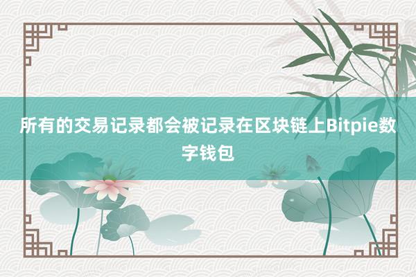 所有的交易记录都会被记录在区块链上Bitpie数字钱包