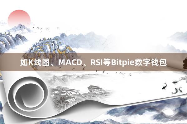 如K线图、MACD、RSI等Bitpie数字钱包