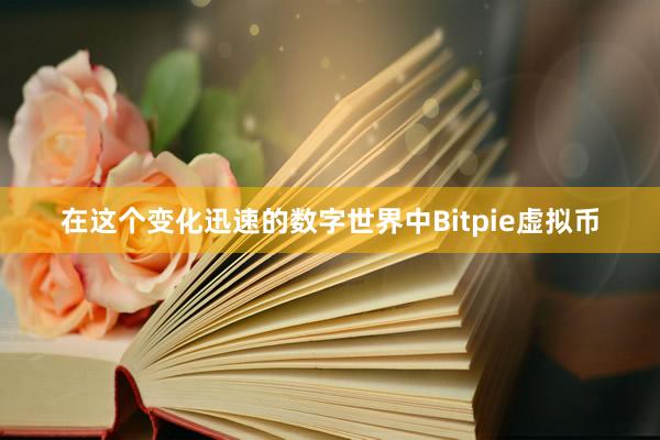 在这个变化迅速的数字世界中Bitpie虚拟币