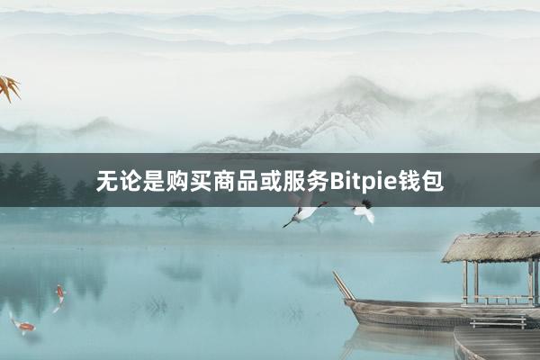 无论是购买商品或服务Bitpie钱包