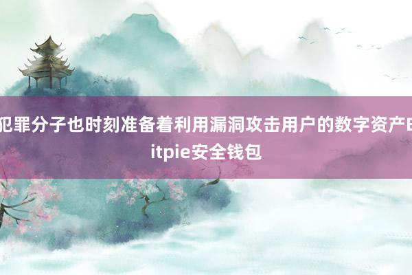 犯罪分子也时刻准备着利用漏洞攻击用户的数字资产Bitpie安全钱包