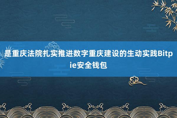 是重庆法院扎实推进数字重庆建设的生动实践Bitpie安全钱包