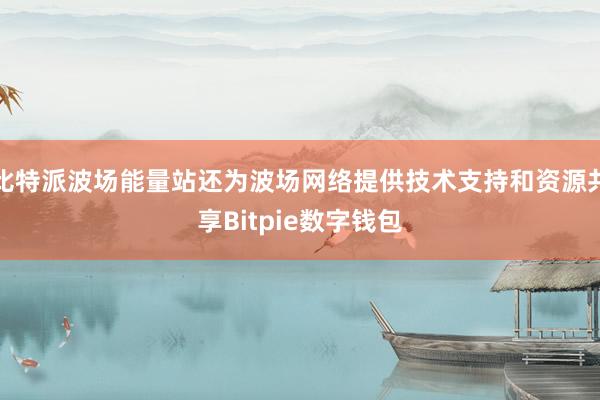 比特派波场能量站还为波场网络提供技术支持和资源共享Bitpie数字钱包