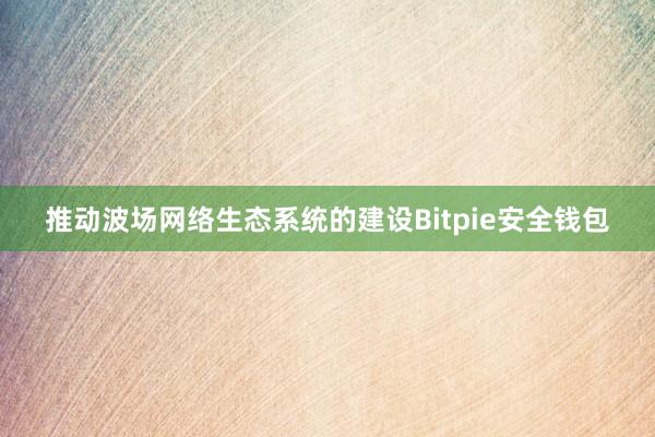 推动波场网络生态系统的建设Bitpie安全钱包