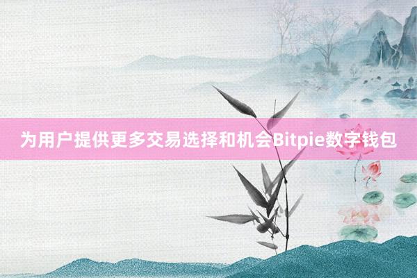 为用户提供更多交易选择和机会Bitpie数字钱包