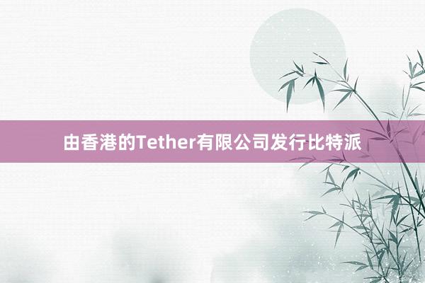 由香港的Tether有限公司发行比特派