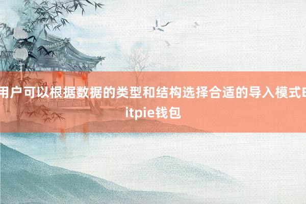 用户可以根据数据的类型和结构选择合适的导入模式Bitpie钱包