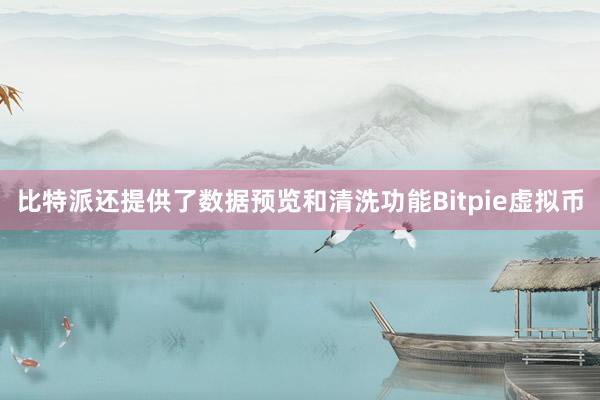 比特派还提供了数据预览和清洗功能Bitpie虚拟币