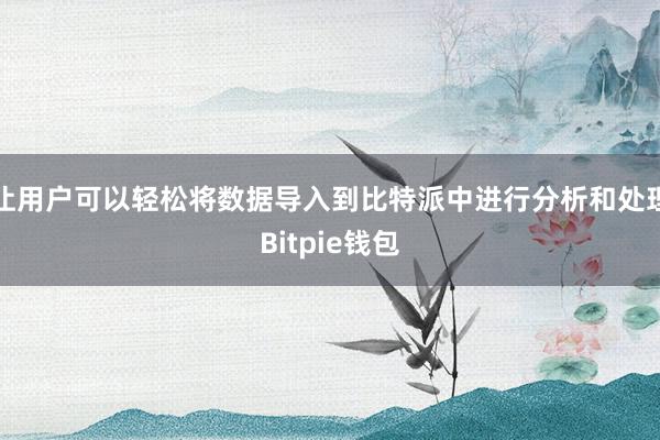 让用户可以轻松将数据导入到比特派中进行分析和处理Bitpie钱包