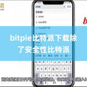 bitpie比特派下载除了安全性比特派