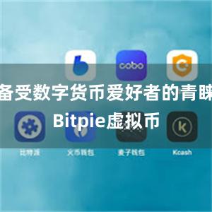 备受数字货币爱好者的青睐Bitpie虚拟币