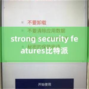 strong security features比特派