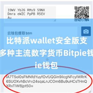 比特派wallet安全版支持多种主流数字货币Bitpie钱包